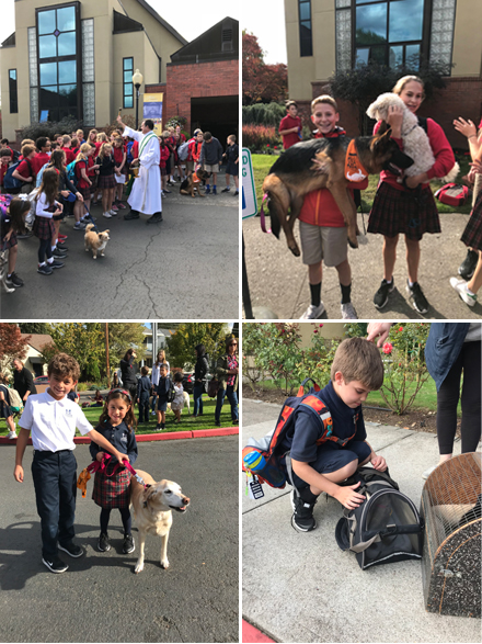 blessing of the animals 2018